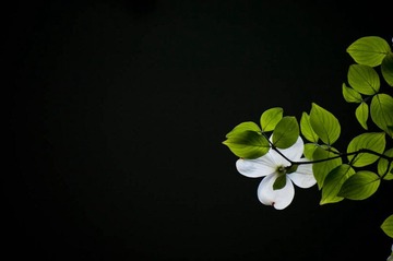 IMGP1310.jpg