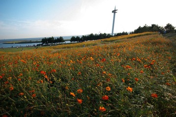 IMGP0011.jpg