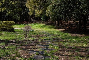 IMGP0100.jpg