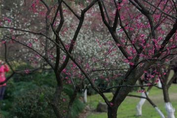 IMGP0031.jpg