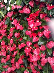 59