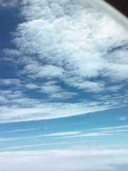 6847AF69-08AC-48E9-B5ED-98E0DD9E323D/L0/001