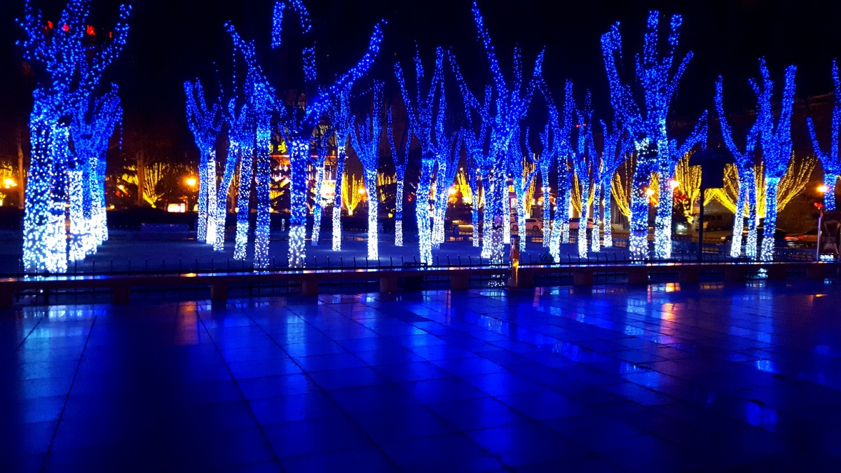 新城广场迎春夜景