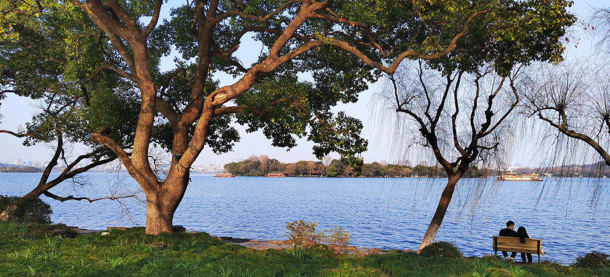 千百年来爱情的见证地西湖苏堤上的情侣掠影手机随拍