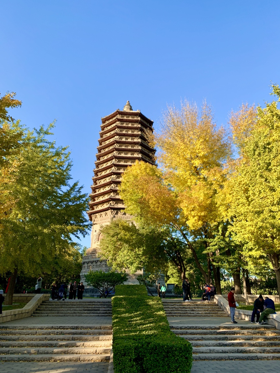 2021年北京秋天玲珑塔公园