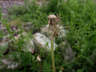 照片 095.jpg