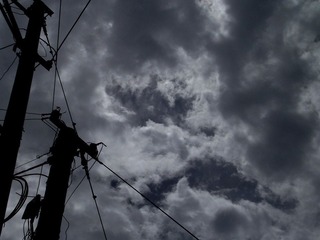 随拍 018.jpg