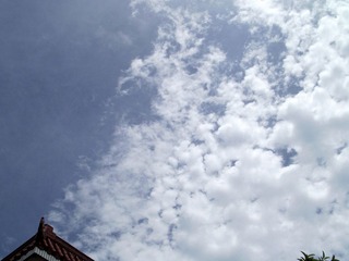 随拍 039.jpg