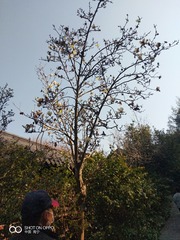 3905743