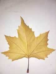 2012205
