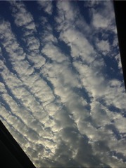 4795D763-44C6-420E-A119-5C143E742211/L0/001