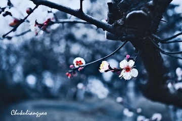 “_DSC0166”为智能对象-11.jpg