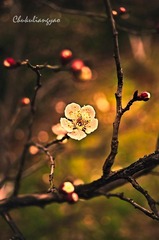 “_DSC0191”为智能对象-1112.jpg