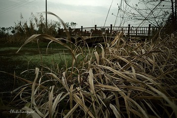 “_DSC5664”为智能对象-12.jpg