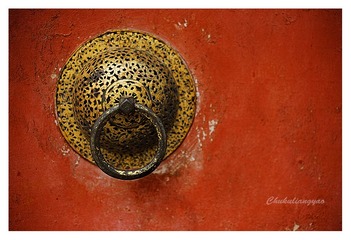 “_DSC6993”为智能对象-1.jpg
