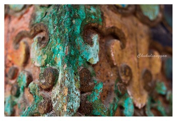 “_DSC7005”为智能对象-1.jpg