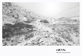 “_DSC2385”为智能对象-1