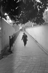 Untitled-241
