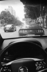 Untitled-24
