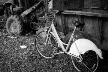 Untitled-17