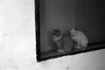 Untitled-22