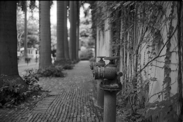 Untitled-8.jpg