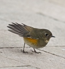 8878
