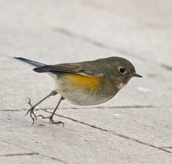 8860