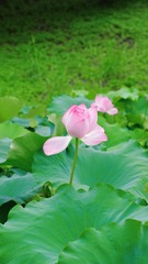 1EB8C812-3416-48AC-999D-5BCD988B5113/L0/001