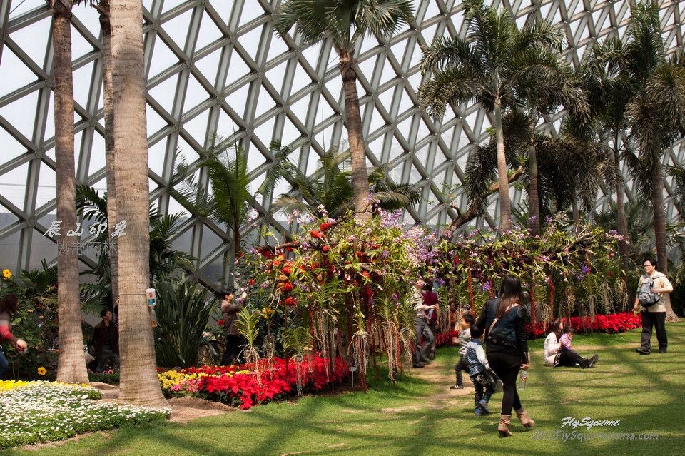 辰山魅影<br />
上海辰山植物园坐落于上海松江区辰花公路，于2011年1月建成开放。