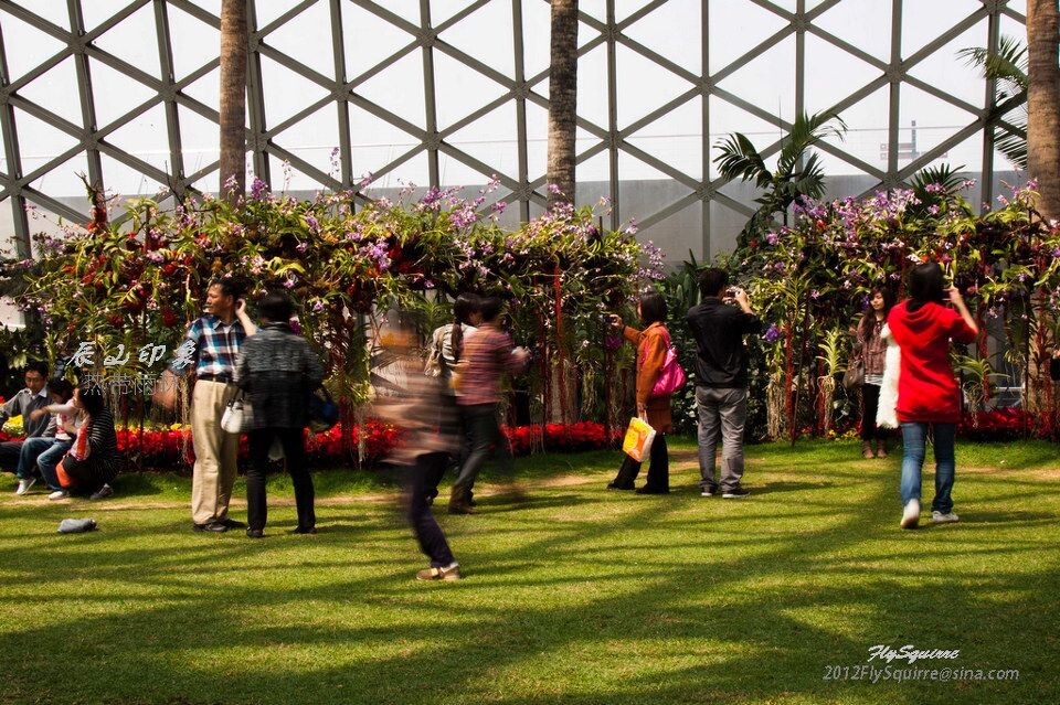 辰山魅影<br />
上海辰山植物园坐落于上海松江区辰花公路，于2011年1月建成开放。