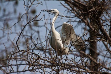 IMG_4285.jpg
