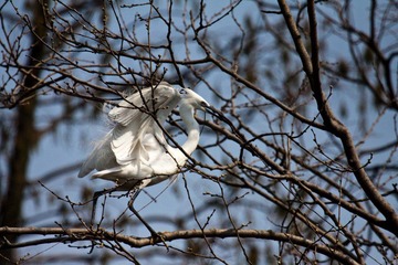 IMG_4286.jpg
