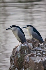 IMG_4627.jpg