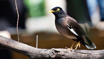 IMG_40271.jpg