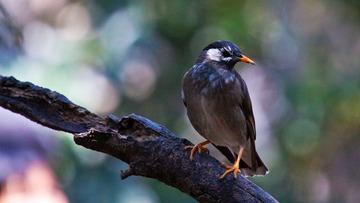 IMG_40321.jpg