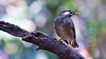 IMG_40351.jpg