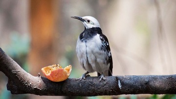 IMG_40501.jpg