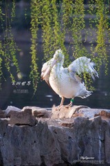 nEO_IMG_nEO_IMG_IMG_4614.jpg