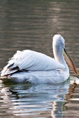 nEO_IMG_nEO_IMG_IMG_4645.jpg