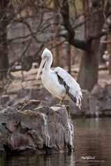 nEO_IMG_nEO_IMG_IMG_4648.jpg