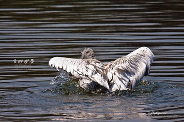 nEO_IMG_nEO_IMG_IMG_4153.jpg