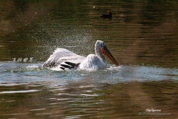 nEO_IMG_nEO_IMG_IMG_4157.jpg