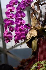 nEO_IMG_IMG_5196.jpg