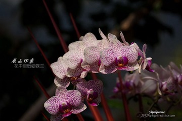 nEO_IMG_IMG_5199.jpg