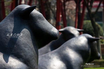 nEO_IMG_IMG_4960.jpg