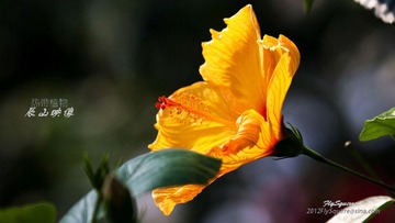 nEO_IMG_IMG_5185.jpg