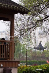 nEO_IMG_IMG_5635.jpg