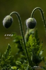 nEO_IMG_IMG_6049.jpg