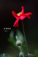nEO_IMG_IMG_6053.jpg